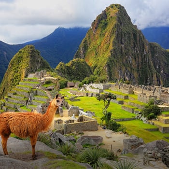 vuelos baratos latams Cuzco