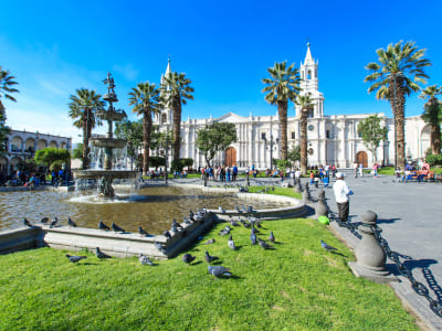 Arequipa