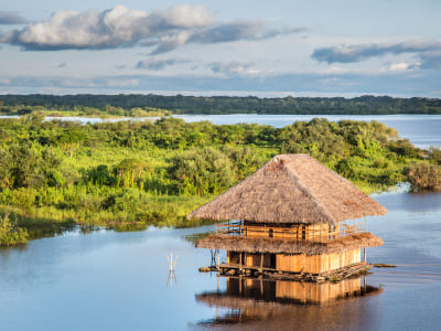 Iquitos
