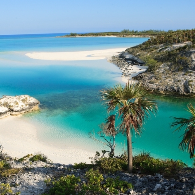 BAHAMAS PARADISE 5D / 4N