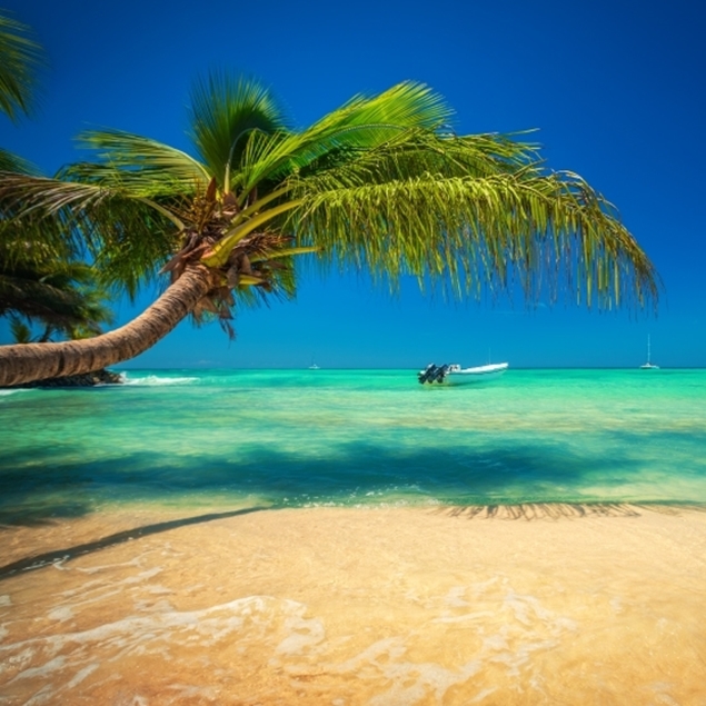 PUNTA CANA