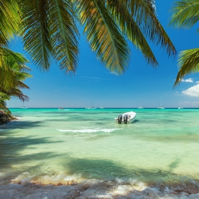 AÑO NUEVO EN CATALONIA PUNTA CANA